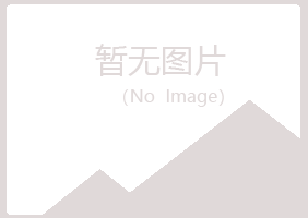 陆川县夜山会计有限公司